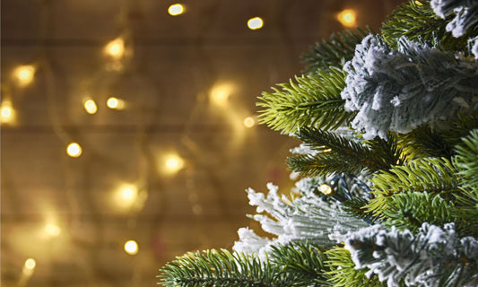 New stock has just arrived