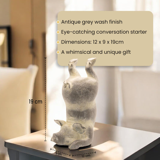 Yoga Pig - Scorpion Pose