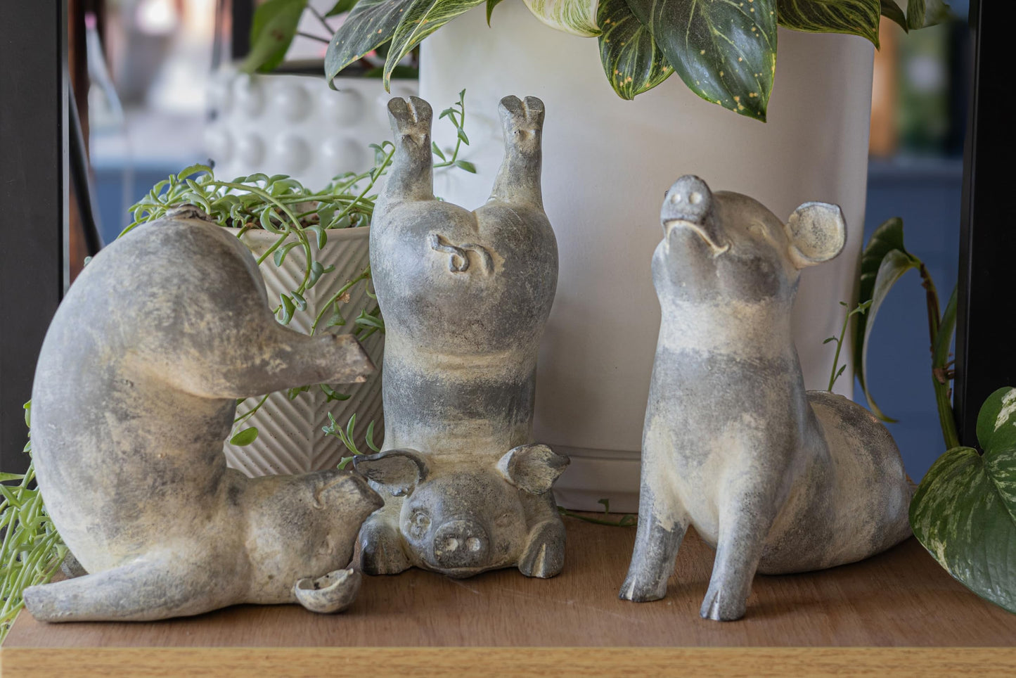 Yoga Pig - Plow Pose