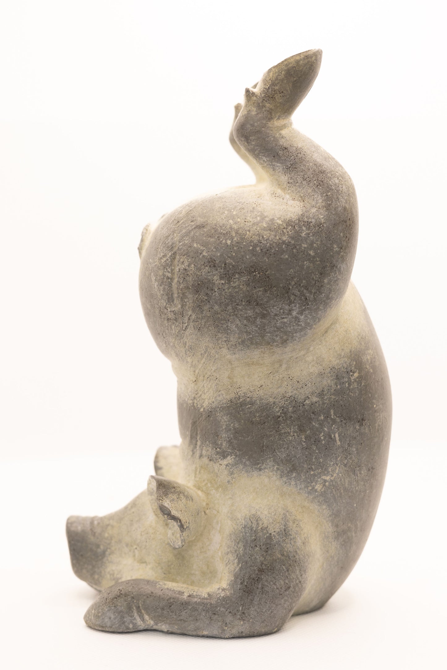 Yoga Pig - Scorpion Pose