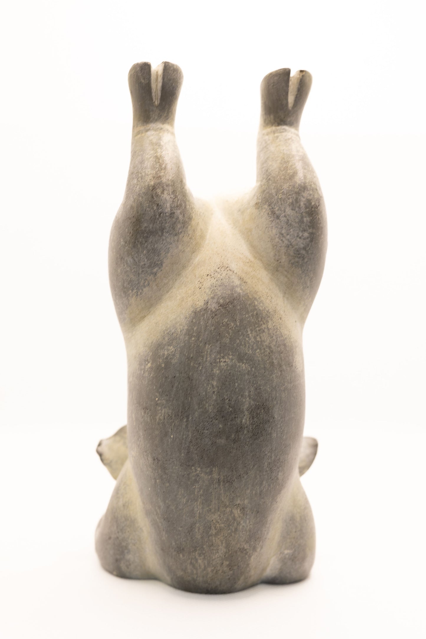 Yoga Pig - Scorpion Pose