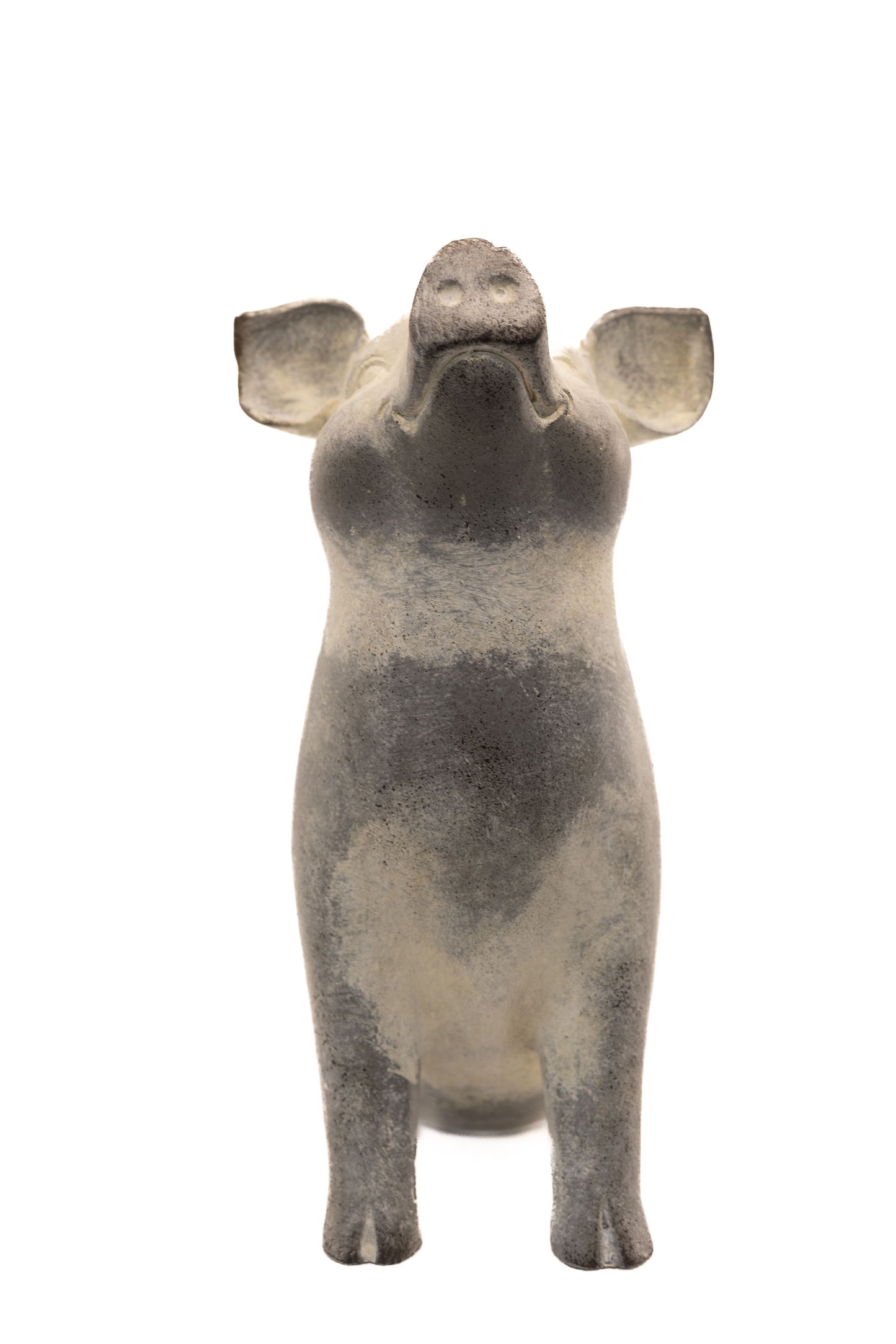 Yoga Pig - Cobra Pose