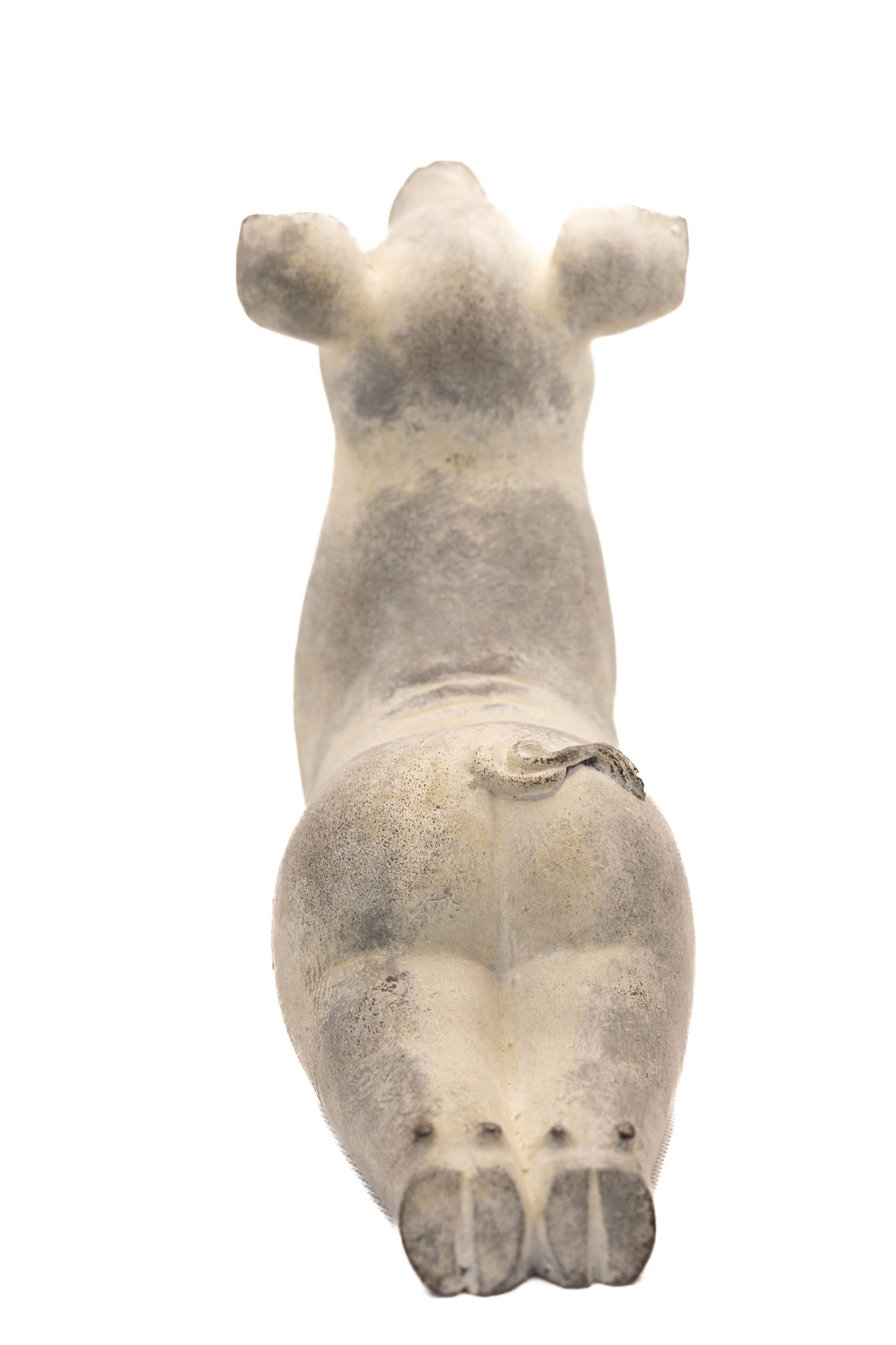 Yoga Pig - Cobra Pose